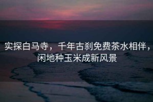 實(shí)探白馬寺，千年古剎免費(fèi)茶水相伴，閑地種玉米成新風(fēng)景