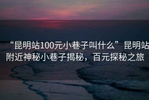 “昆明站100元小巷子叫什么”昆明站附近神秘小巷子揭秘，百元探秘之旅