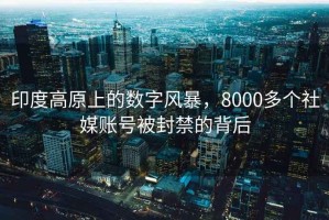 印度高原上的數(shù)字風暴，8000多個社媒賬號被封禁的背后
