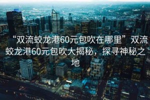“雙流蛟龍港60元包吹在哪里”雙流蛟龍港60元包吹大揭秘，探尋神秘之地