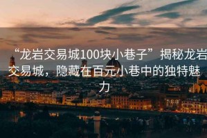 “龍巖交易城100塊小巷子”揭秘龍巖交易城，隱藏在百元小巷中的獨特魅力