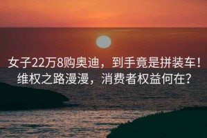 女子22萬(wàn)8購(gòu)?qiáng)W迪，到手竟是拼裝車(chē)！維權(quán)之路漫漫，消費(fèi)者權(quán)益何在？