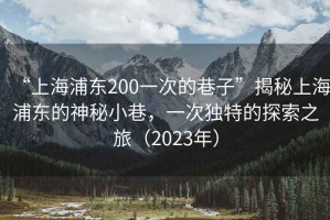 “上海浦東200一次的巷子”揭秘上海浦東的神秘小巷，一次獨(dú)特的探索之旅（2023年）