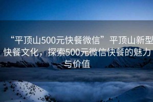 “平頂山500元快餐微信”平頂山新型快餐文化，探索500元微信快餐的魅力與價值