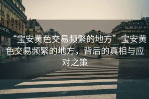 “寶安黃色交易頻繁的地方”寶安黃色交易頻繁的地方，背后的真相與應(yīng)對(duì)之策