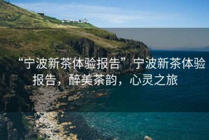 “寧波新茶體驗(yàn)報告”寧波新茶體驗(yàn)報告，醉美茶韻，心靈之旅