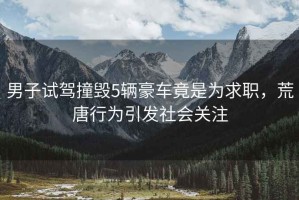 男子試駕撞毀5輛豪車竟是為求職，荒唐行為引發(fā)社會關(guān)注