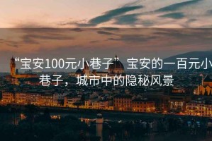“寶安100元小巷子”寶安的一百元小巷子，城市中的隱秘風(fēng)景