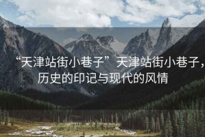 “天津站街小巷子”天津站街小巷子，歷史的印記與現(xiàn)代的風(fēng)情