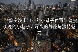 “普寧晚上11點(diǎn)的小巷子位置”普寧夜晚的小巷子，深夜的靜謐與獨(dú)特魅力