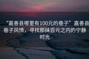 “嘉善縣哪里有100元的巷子”嘉善縣巷子風(fēng)情，尋找那抹百元之內(nèi)的寧?kù)o時(shí)光
