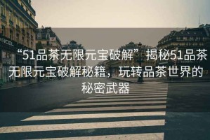 “51品茶無限元寶破解”揭秘51品茶無限元寶破解秘籍，玩轉(zhuǎn)品茶世界的秘密武器