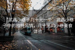 “武昌小巷子幾十元一個”武昌小巷子中的獨特風(fēng)情，幾十元的小巷美食體驗