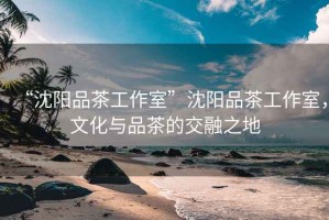 “沈陽(yáng)品茶工作室”沈陽(yáng)品茶工作室，文化與品茶的交融之地
