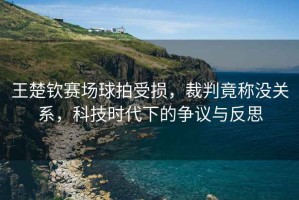王楚欽賽場球拍受損，裁判竟稱沒關(guān)系，科技時(shí)代下的爭議與反思
