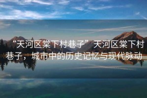 “天河區(qū)棠下村巷子”天河區(qū)棠下村巷子，城市中的歷史記憶與現(xiàn)代脈動(dòng)