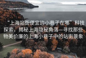 “上海站街便宜的小巷子在哪”科技探索，揭秘上海隱秘角落—尋找那些物美價廉的上海小巷子中的站街景象