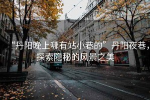 “丹陽晚上哪有站小巷的”丹陽夜巷，探索隱秘的風(fēng)景之美