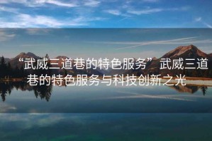“武威三道巷的特色服務(wù)”武威三道巷的特色服務(wù)與科技創(chuàng)新之光