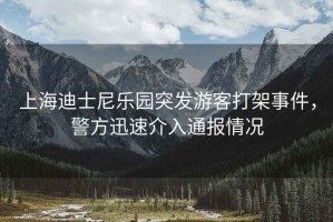 上海迪士尼樂(lè)園突發(fā)游客打架事件，警方迅速介入通報(bào)情況