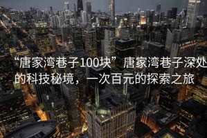 “唐家灣巷子100塊”唐家灣巷子深處的科技秘境，一次百元的探索之旅