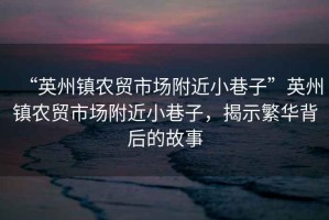 “英州鎮(zhèn)農(nóng)貿(mào)市場(chǎng)附近小巷子”英州鎮(zhèn)農(nóng)貿(mào)市場(chǎng)附近小巷子，揭示繁華背后的故事