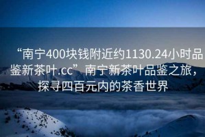 “南寧400塊錢附近約1130.24小時品鑒新茶葉.cc”南寧新茶葉品鑒之旅，探尋四百元內(nèi)的茶香世界