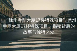 “徐州金鼎大廈17樓特殊項目”徐州金鼎大廈17樓特殊項目，揭秘背后的故事與獨特之處