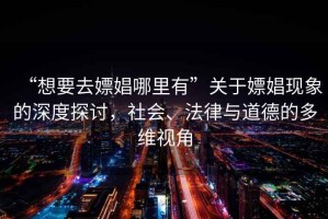 “想要去嫖娼哪里有”關(guān)于嫖娼現(xiàn)象的深度探討，社會(huì)、法律與道德的多維視角