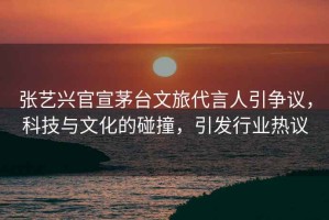 張藝興官宣茅臺(tái)文旅代言人引爭議，科技與文化的碰撞，引發(fā)行業(yè)熱議