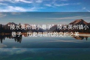 “陵水英州鎮(zhèn)小巷子”陵水英州鎮(zhèn)小巷子，歷史與現(xiàn)代的交織之美