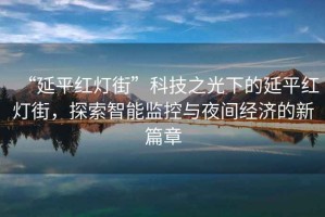 “延平紅燈街”科技之光下的延平紅燈街，探索智能監(jiān)控與夜間經(jīng)濟(jì)的新篇章