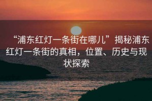 “浦東紅燈一條街在哪兒”揭秘浦東紅燈一條街的真相，位置、歷史與現狀探索