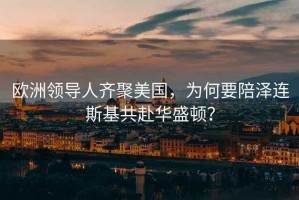 歐洲領導人齊聚美國，為何要陪澤連斯基共赴華盛頓？