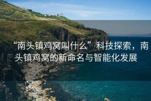 “南頭鎮(zhèn)雞窩叫什么”科技探索，南頭鎮(zhèn)雞窩的新命名與智能化發(fā)展