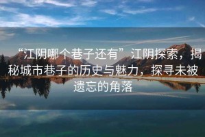 “江陰哪個巷子還有”江陰探索，揭秘城市巷子的歷史與魅力，探尋未被遺忘的角落