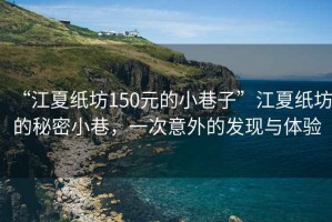 “江夏紙坊150元的小巷子”江夏紙坊的秘密小巷，一次意外的發(fā)現(xiàn)與體驗