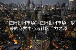 “益陽朝陽市場”益陽朝陽市場，繁榮的商貿(mào)中心與社區(qū)活力之源