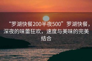 “羅湖快餐200半夜500”羅湖快餐，深夜的味蕾狂歡，速度與美味的完美結(jié)合