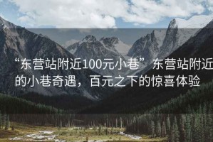 “東營站附近100元小巷”東營站附近的小巷奇遇，百元之下的驚喜體驗