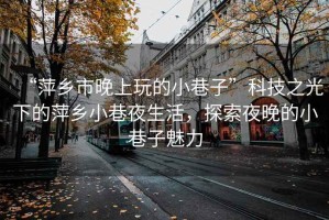 “萍鄉(xiāng)市晚上玩的小巷子”科技之光下的萍鄉(xiāng)小巷夜生活，探索夜晚的小巷子魅力