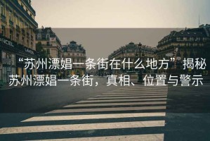“蘇州漂娼一條街在什么地方”揭秘蘇州漂娼一條街，真相、位置與警示