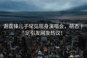 謝霆鋒兒子罕見現(xiàn)身演唱會(huì)，萌態(tài)十足引發(fā)網(wǎng)友熱議！