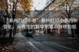 “泰州紅燈小巷”泰州紅燈小巷的新變化，從夜市的繁華到城市管理的規(guī)范化