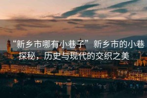 “新鄉(xiāng)市哪有小巷子”新鄉(xiāng)市的小巷探秘，歷史與現(xiàn)代的交織之美