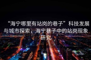 “海寧哪里有站崗的巷子”科技發(fā)展與城市探索，海寧巷子中的站崗現(xiàn)象研究