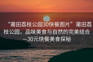 “莆田荔枝公園30快餐圖片”莆田荔枝公園，品味美食與自然的完美結(jié)合—30元快餐美食探秘