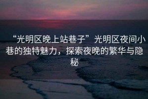 “光明區(qū)晚上站巷子”光明區(qū)夜間小巷的獨特魅力，探索夜晚的繁華與隱秘