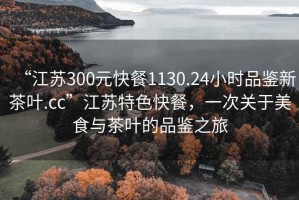 “江蘇300元快餐1130.24小時(shí)品鑒新茶葉.cc”江蘇特色快餐，一次關(guān)于美食與茶葉的品鑒之旅