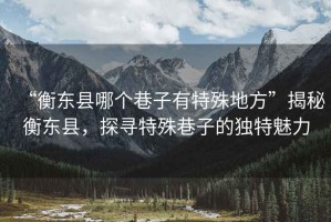 “衡東縣哪個巷子有特殊地方”揭秘衡東縣，探尋特殊巷子的獨特魅力
